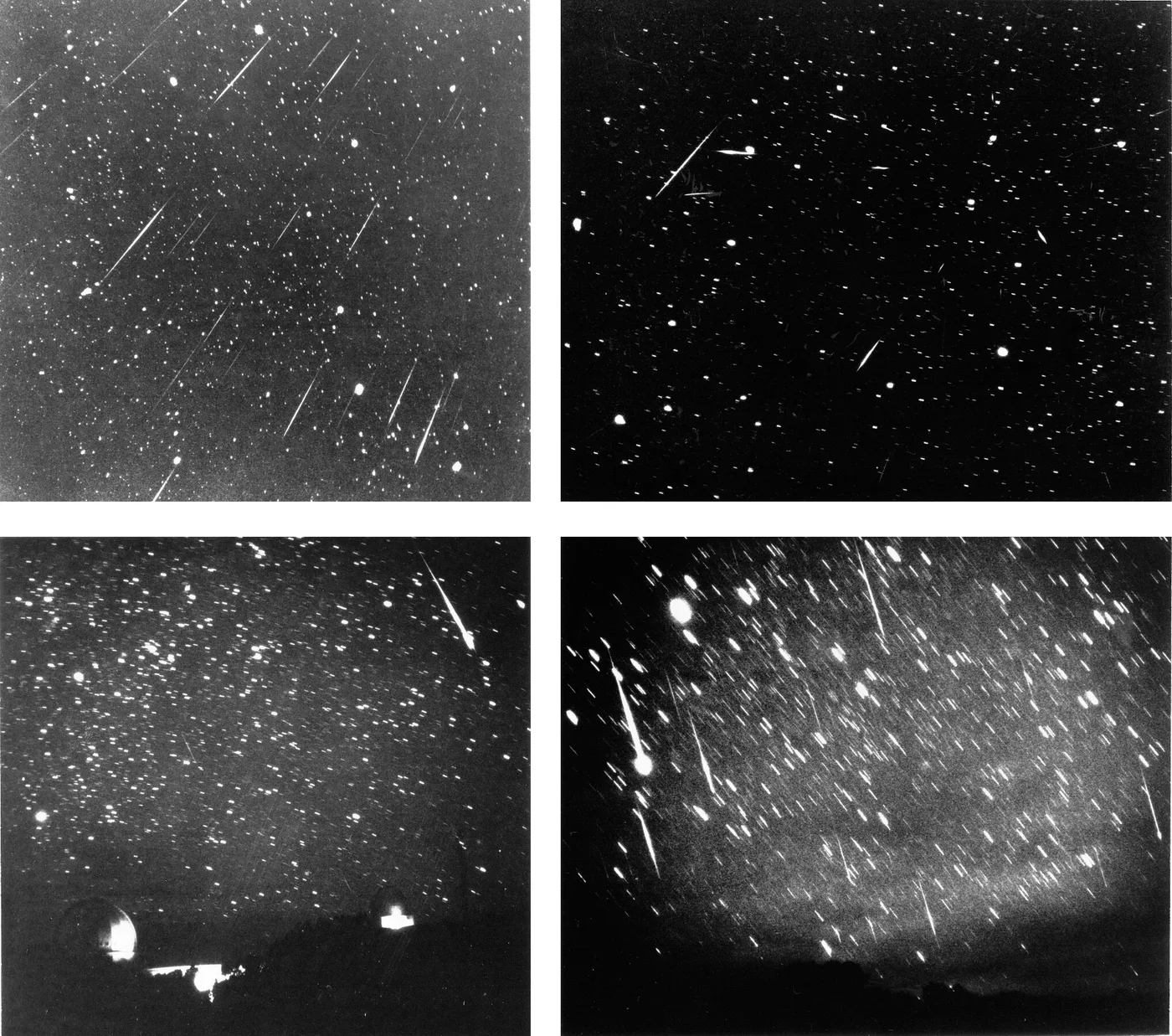 Fyra svartvita fotografier av Leonidstormen 1966: meteorstreck överallt, och på en av bilderna syns observatoriekupoler