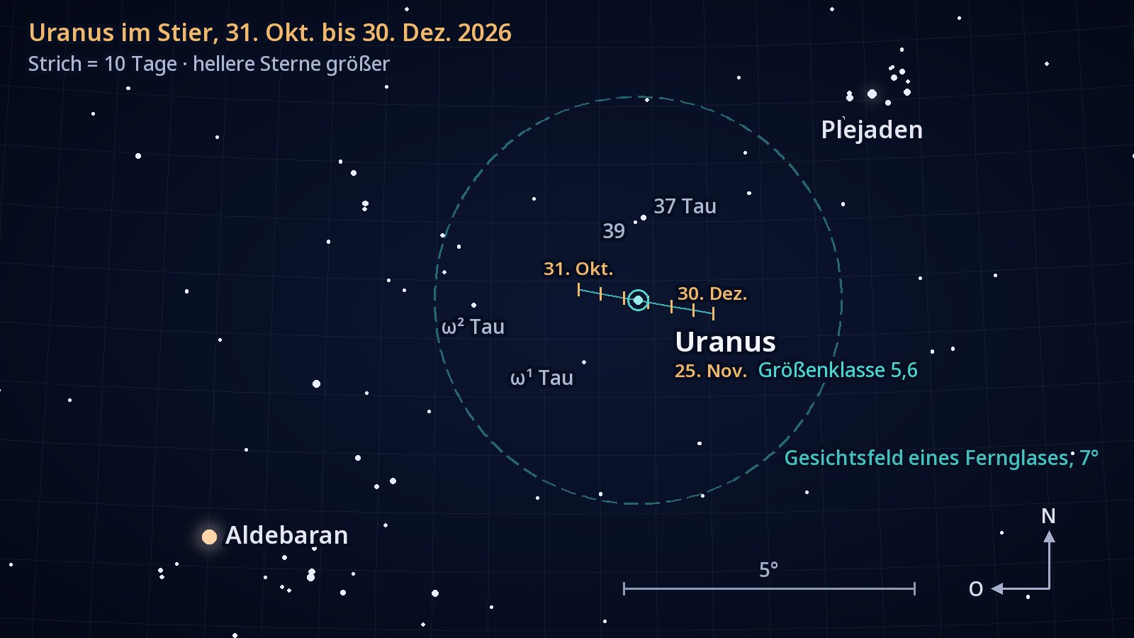 Aufsuchkarte für das Sternbild Stier, Norden oben, Osten links. Der kurze Weg des Uranus nach Westen vom 31. Oktober bis 30. Dezember 2026, alle zehn Tage mit einem Strich markiert, verläuft knapp südlich des Sterns 37 Tauri innerhalb eines Kreises von 7° Durchmesser, der das Gesichtsfeld eines Fernglases darstellt; die Plejaden stehen oben rechts, Aldebaran unten links.