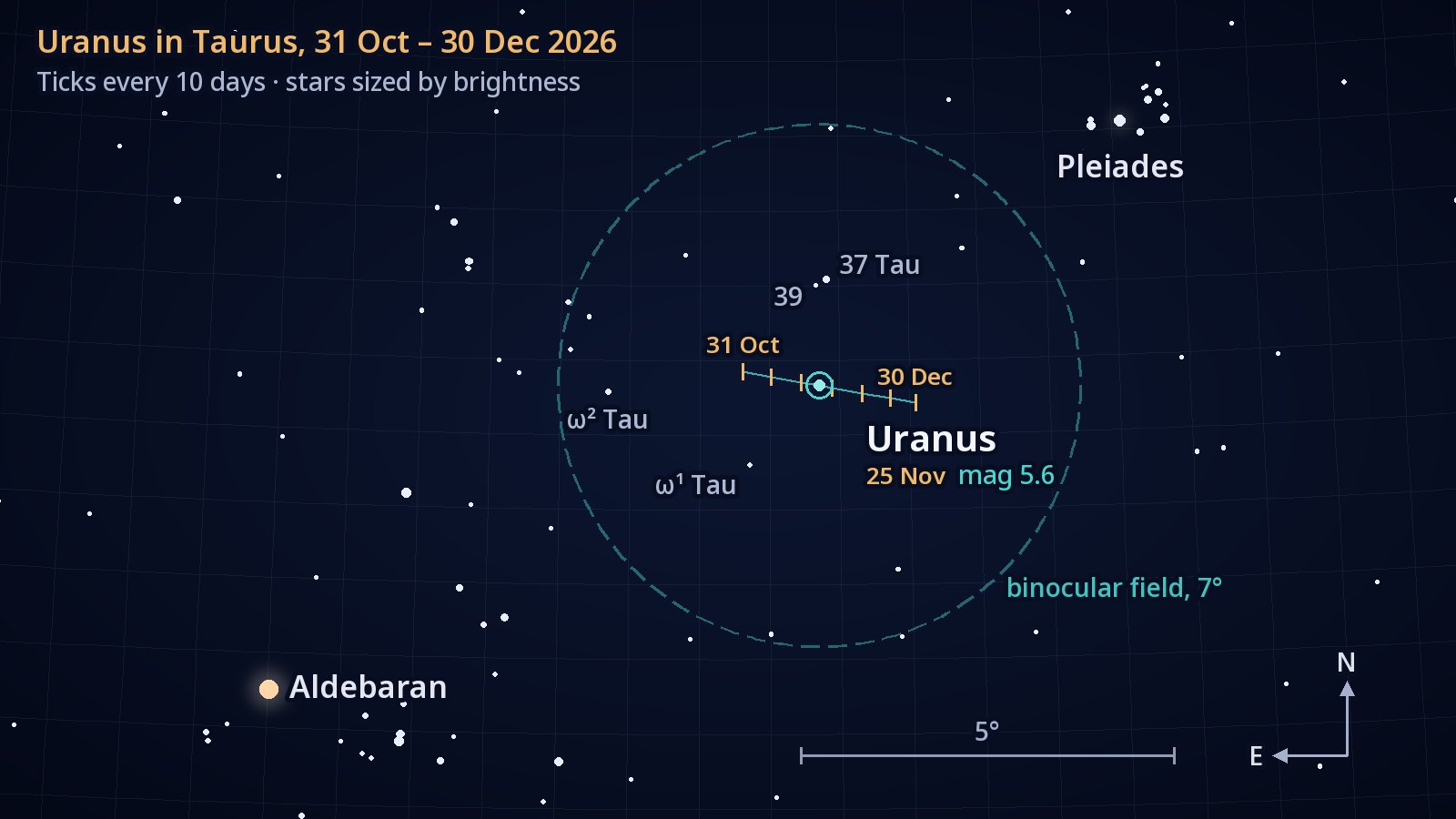Finder chart of Taurus, north up and east to the left. Uranus's short westward track from 31 October to 30 December 2026, ticked every ten days, runs just south of the star 37 Tauri inside a 7° binocular circle; the Pleiades are at upper right and Aldebaran at lower left.