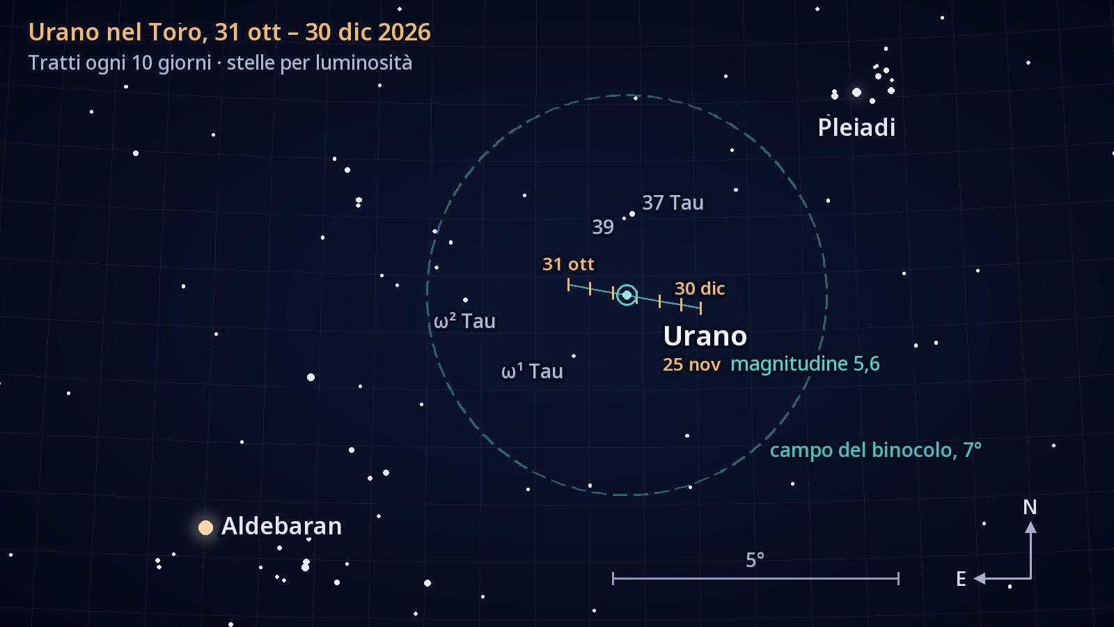 Cartina del Toro con il nord in alto e l’est a sinistra. Il breve percorso di Urano verso ovest dal 31 ottobre al 30 dicembre 2026, con un trattino ogni dieci giorni, passa poco a sud della stella 37 Tauri, dentro un cerchio di 7° che rappresenta il campo di un binocolo; le Pleiadi sono in alto a destra e Aldebaran in basso a sinistra.