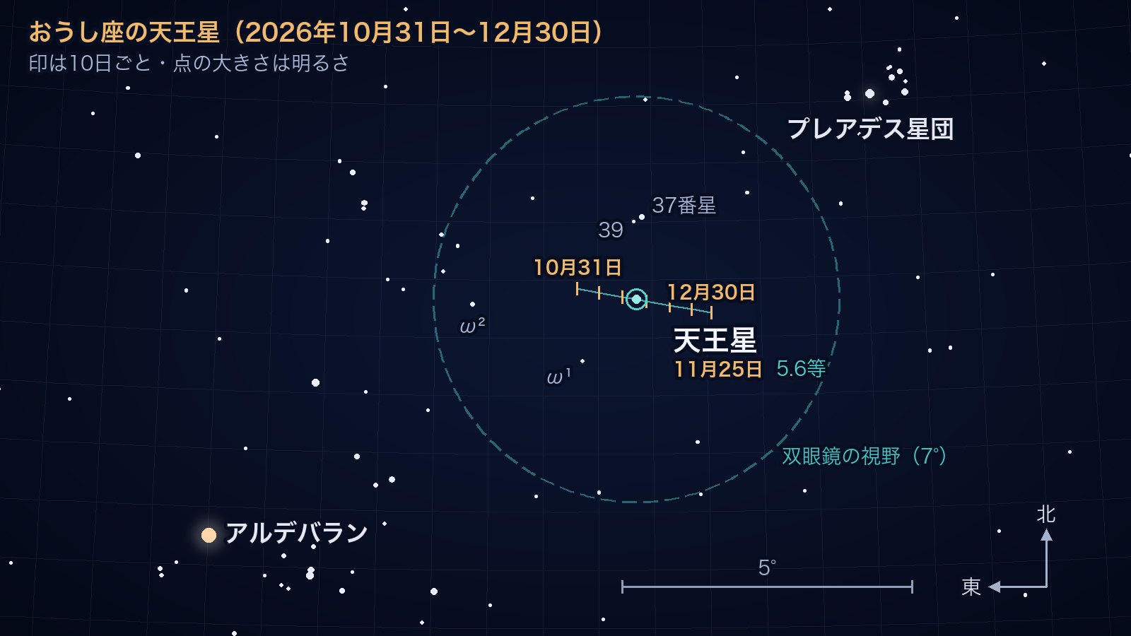 おうし座の星図。北が上、東が左です。2026年10月31日から12月30日までに天王星が西へ少しだけ動く道筋を10日ごとの印で示しています。道筋はおうし座37番星のすぐ南を通り、直径7°の双眼鏡の視野を表す円の中に収まっています。プレアデス星団は右上、アルデバランは左下にあります。