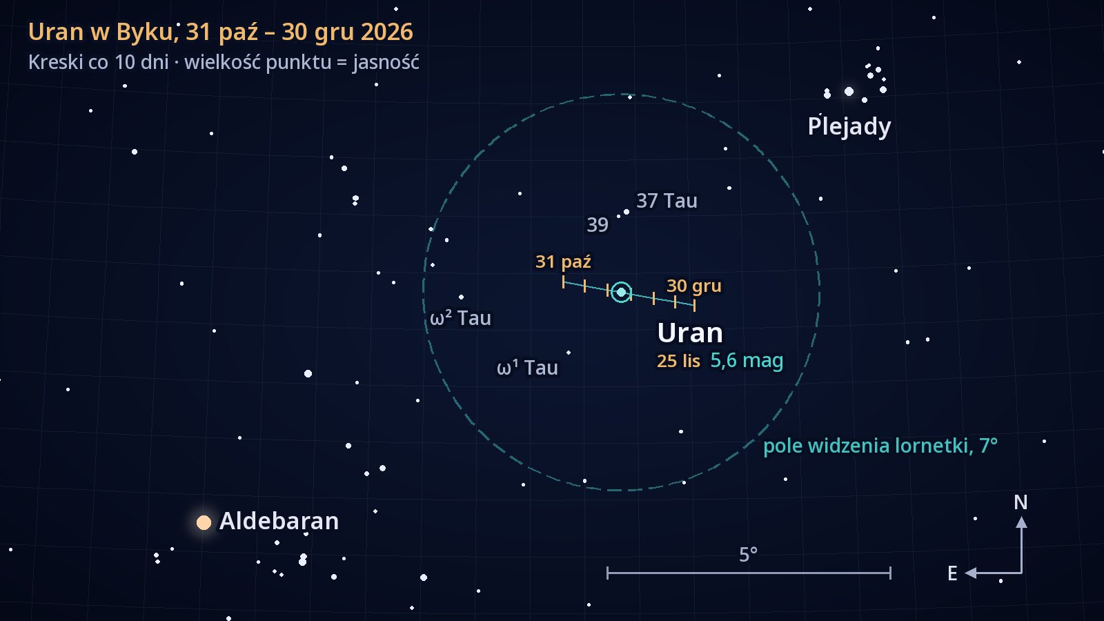 Mapka gwiazdozbioru Byka ułatwiająca odnalezienie Urana, północ u góry, wschód po lewej. Krótki odcinek drogi Urana od 31 października do 30 grudnia 2026 roku, z kreskami co dziesięć dni, biegnie na zachód tuż na południe od gwiazdy 37 Tauri i mieści się w okręgu o średnicy 7°, oznaczającym pole widzenia lornetki; Plejady są u góry po prawej, Aldebaran na dole po lewej.