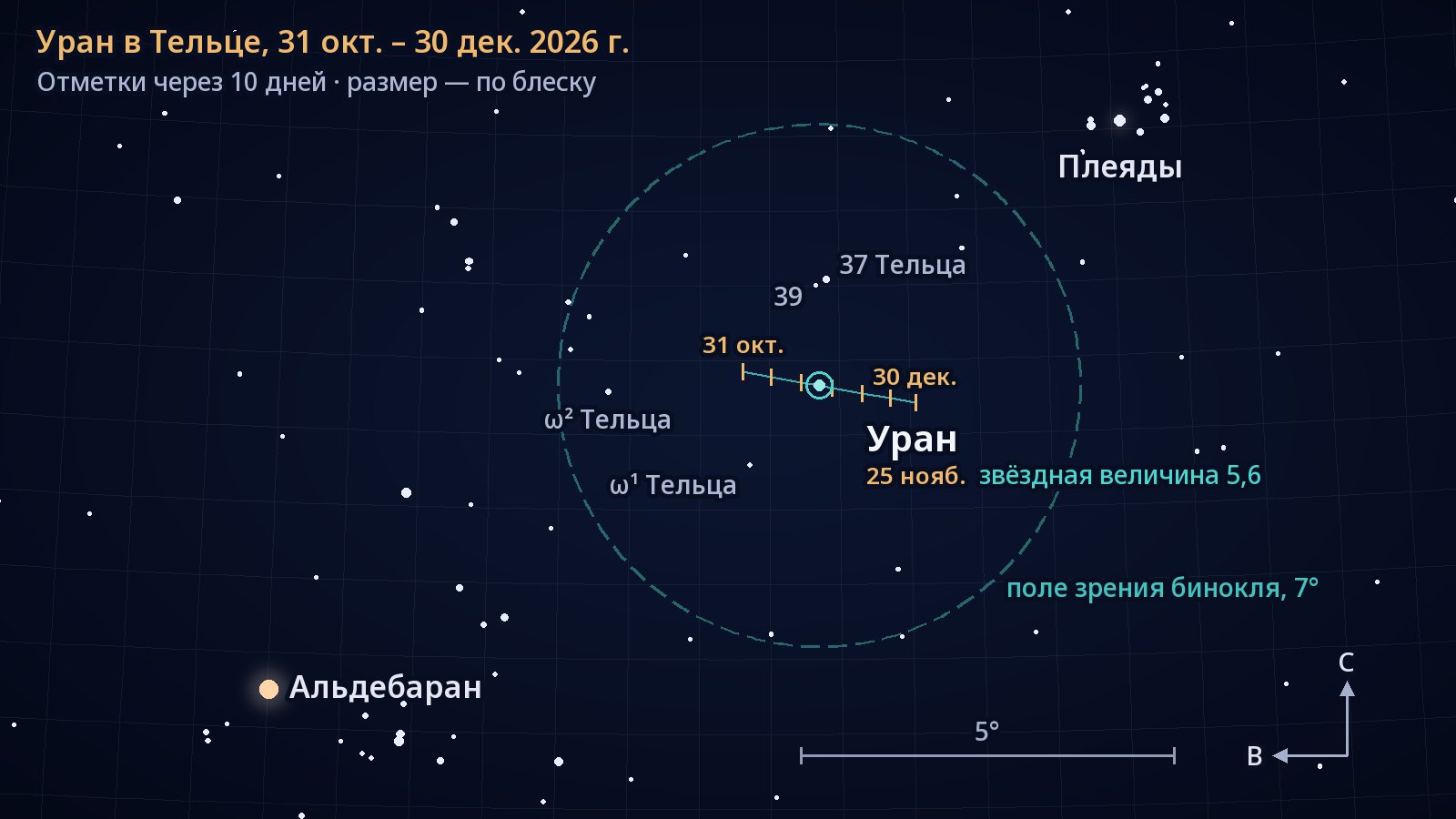 Карта участка неба в созвездии Тельца: север сверху, восток слева. Небольшой отрезок пути Урана к западу с 31 октября по 30 декабря 2026 года (отметки через каждые десять дней), лежит чуть южнее звезды 37 Тельца, внутри круга диаметром 7° — поля зрения бинокля. Плеяды справа вверху, Альдебаран слева внизу.