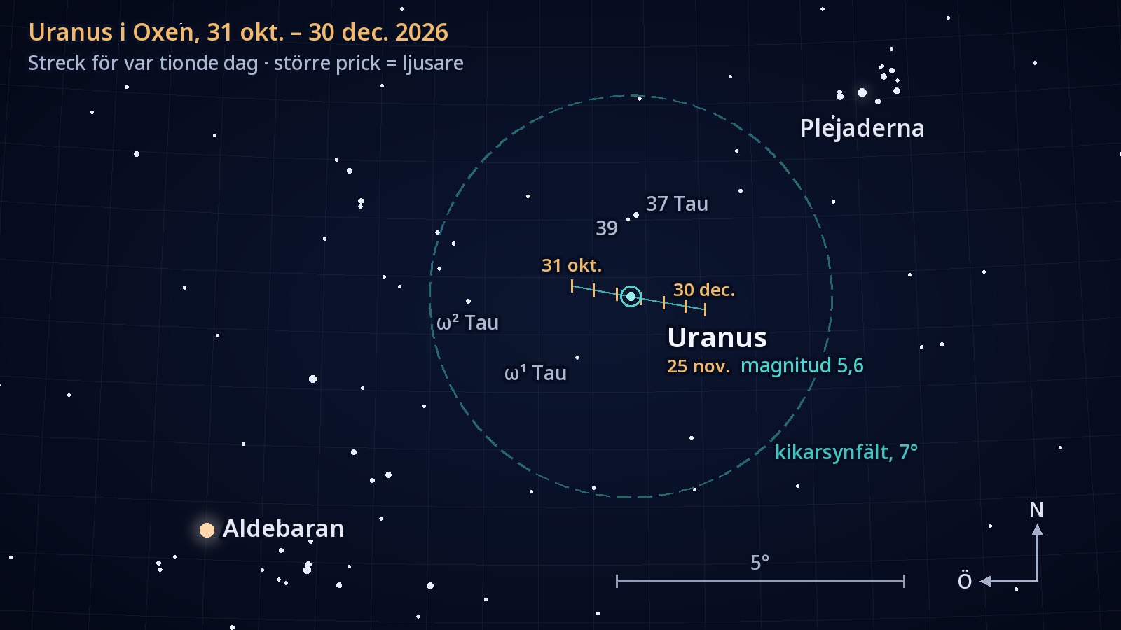 Sökkarta över Oxen med norr uppåt och öster åt vänster. Uranus korta bana västerut från den 31 oktober till den 30 december 2026, med ett streck var tionde dag, går strax söder om stjärnan 37 Tauri, inne i en cirkel som visar ett 7° brett kikarsynfält. Plejaderna syns uppe till höger och Aldebaran nere till vänster.
