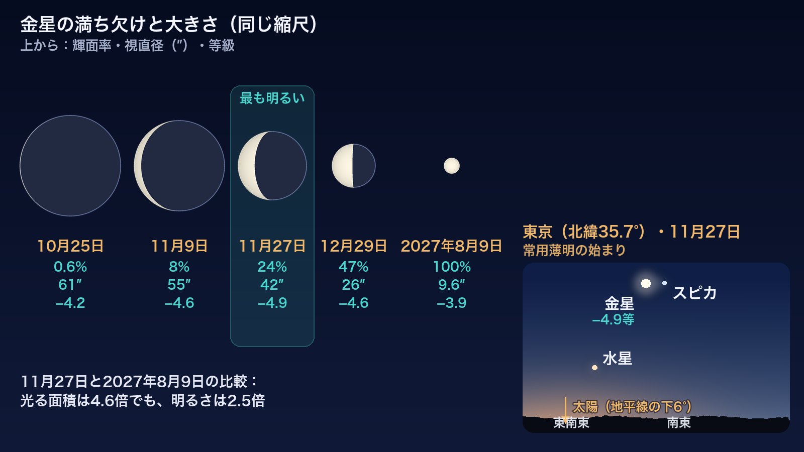 左:2026年10月25日のほとんど光っていない大きな金星から、2027年8月9日の小さく丸い金星まで、5つの日付の金星を同じ縮尺で描いた図。最大光度に近い11月27日の金星を強調しています。右:11月27日の常用薄明の始まりに東京から見た空。南東の空に金星とスピカが並び、水星はその下の、地平線に近い低いところにあります。